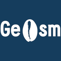 geosm